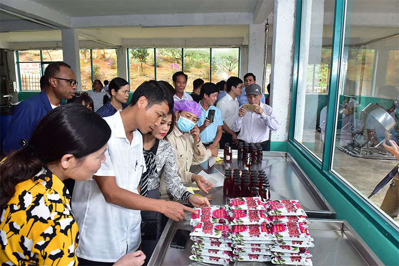 Gỡ khó về nguồn nhân lực cho vùng dân tộc thiểu số, miền núi 